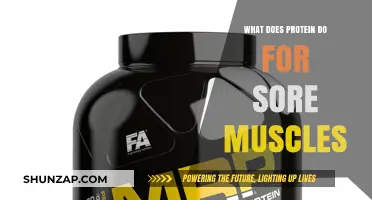 Protein's Role in Muscle Recovery: Easing Soreness and Promoting Healing