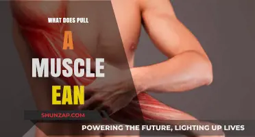 Understanding Pulled Muscles: Causes, Symptoms, and Effective Recovery Tips