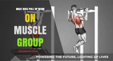 Pull-Ups: Targeting Back, Arms, and Core Muscle Groups Effectively