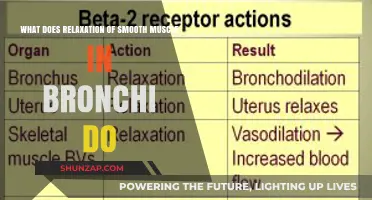 Relaxation of Bronchial Smooth Muscle: Enhancing Airflow and Respiratory Function