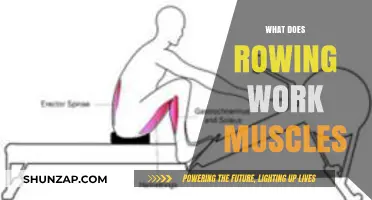 Rowing's Full-Body Benefits: Muscles Worked and Strengthened Explained