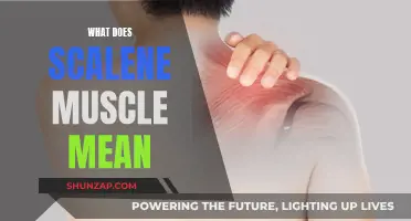 Understanding the Unique Scalene Muscles: Definition and Significance