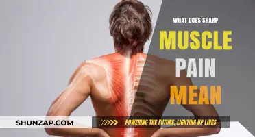Understanding Sharp Muscle Pain: Causes, Symptoms, and Treatment Options