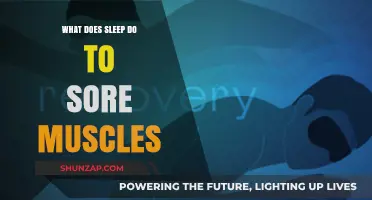 Sleep's Healing Power: How Rest Repairs and Soothes Sore Muscles
