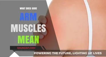 Understanding Sore Arm Muscles: Causes, Remedies, and Recovery Tips