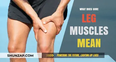 Understanding Sore Leg Muscles: Causes, Remedies, and Prevention Tips