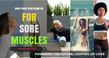 Stretching for Sore Muscles: Benefits, Techniques, and Recovery Tips