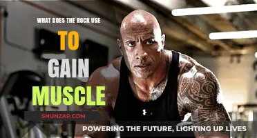 The Rock's Muscle-Building Secrets: Diet, Workouts, and Supplements Revealed