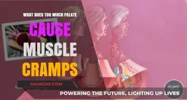 Excess Folate: Unraveling Its Surprising Link to Muscle Cramps