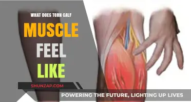 Understanding the Pain: What Does a Torn Calf Muscle Feel Like?