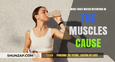 Understanding Muscle Water Retention: Causes, Symptoms, and Effective Remedies