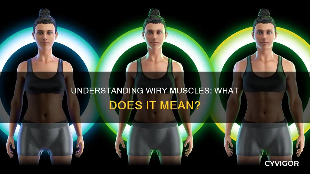 what does wiry muscles mean