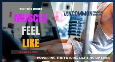 Understanding the Sensation of a Worked Muscle: What to Expect
