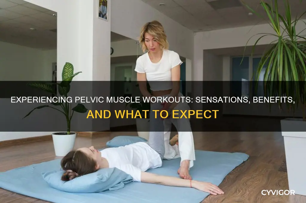 what does working out the pelvic muscle feels like