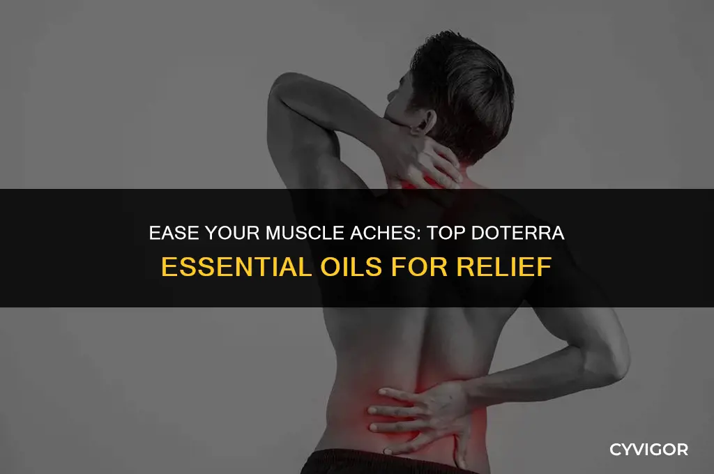 what doterra essential oils are good for muscle aches