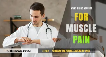 Which Specialist Treats Muscle Pain? A Guide to Finding Relief