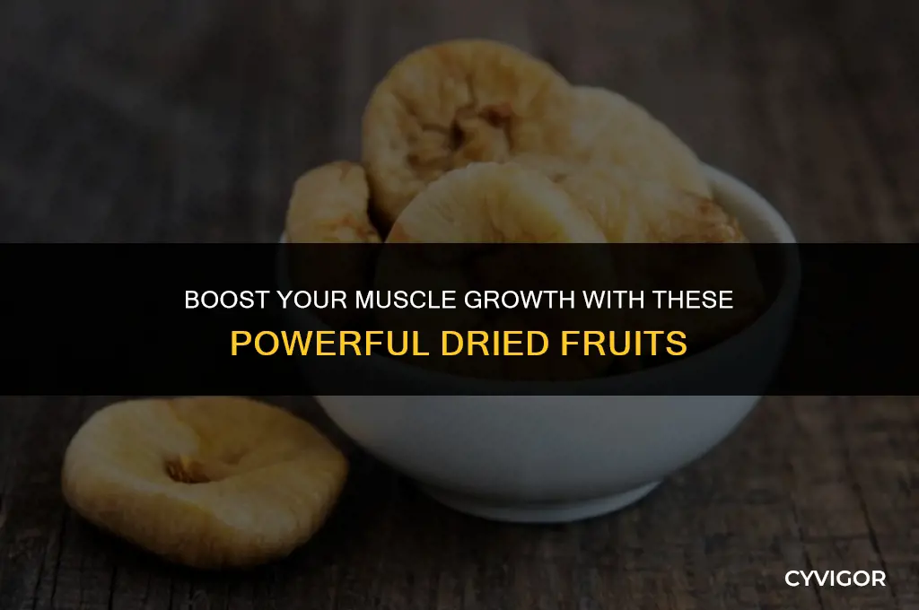 what dried fruit is good for muscle growth