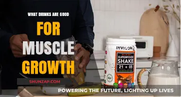 Fuel Your Gains: Top Drinks to Boost Muscle Growth