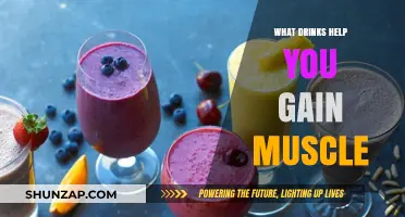 Muscle-Building Beverages: Top Drinks to Fuel Your Gains