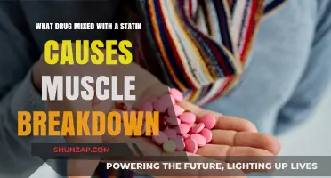 Statin Interactions: Which Drug Triggers Muscle Breakdown Risk?