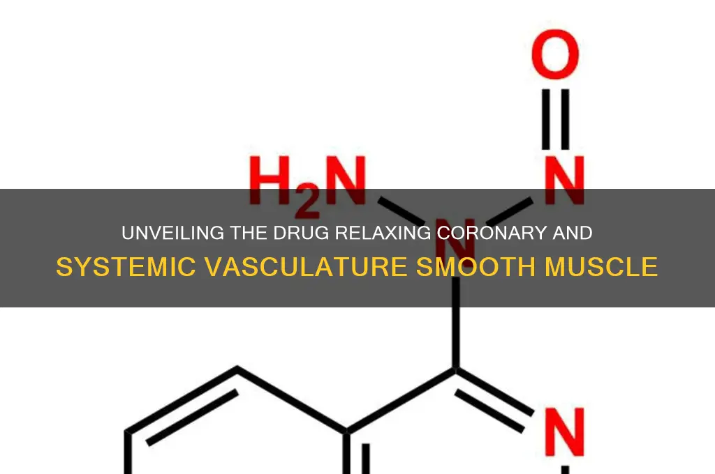 what drug relaxes smooth muscle in coronary and systemic vasculature