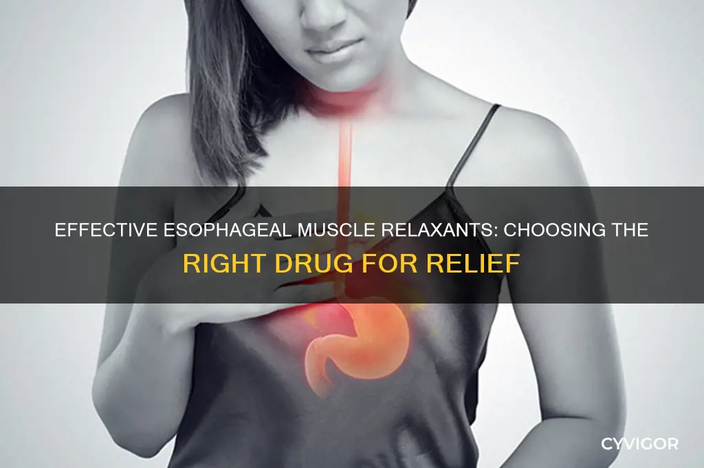 what drug to use for esophageal muscle relaxants