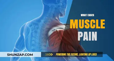 Effective Remedies to Relieve Muscle Pain and Promote Recovery