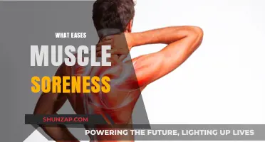 Muscle Soreness: Natural Ways to Heal and Recover