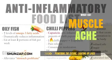 Foods to Relieve Muscle Aches