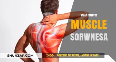 Easy Solutions to Relieve Muscle Soreness