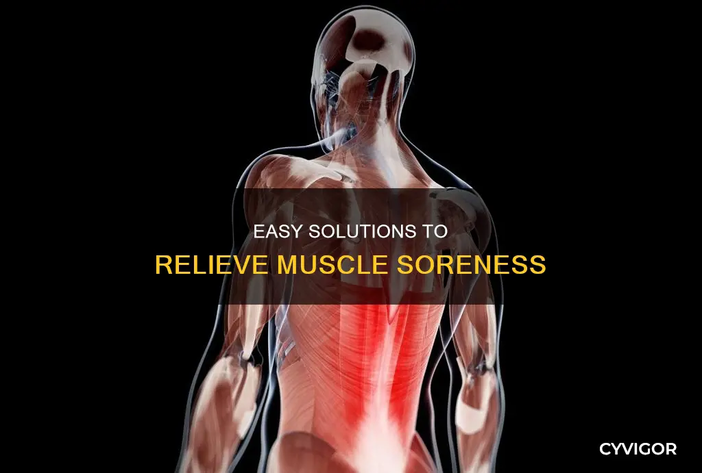 what eelieves muscle sorwnesa