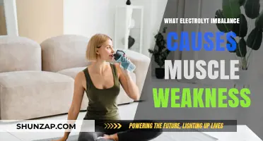Electrolyte Imbalance and Muscle Weakness: Understanding the Connection