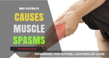 Low Magnesium Levels: The Hidden Culprit Behind Muscle Spasms Explained