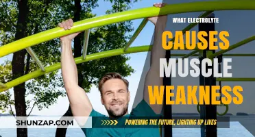 Low Potassium Levels: The Electrolyte Link to Muscle Weakness Explained