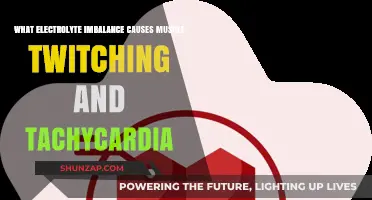 Electrolyte Imbalance: Unraveling Muscle Twitching and Tachycardia Causes