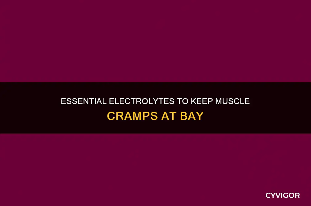 what electrolytes do i need to prevent muscle cramping