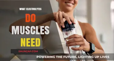 Electrolytes for Muscles: What You Need to Know