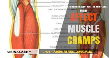 Beyond Electrolytes: Unveiling Lesser-Known Culprits of Muscle Cramps
