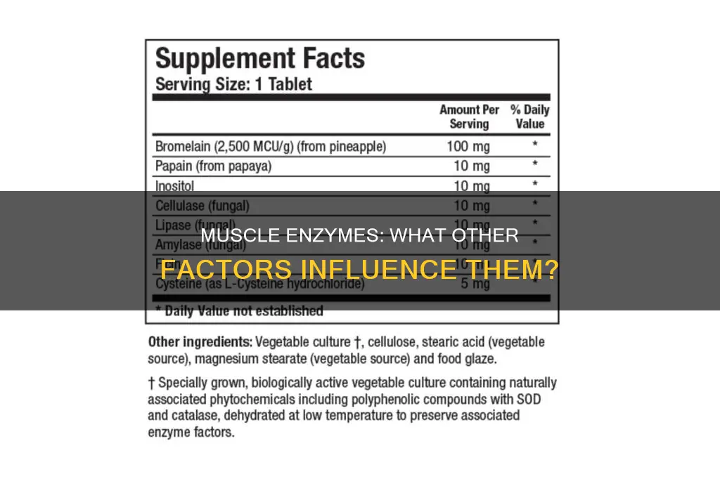 what else effects muscle enzymes