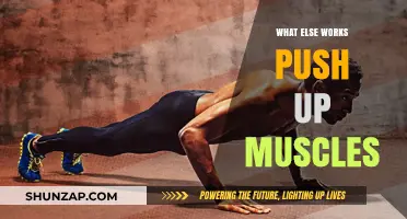 Beyond Push-Ups: Effective Exercises to Target and Strengthen Key Muscles