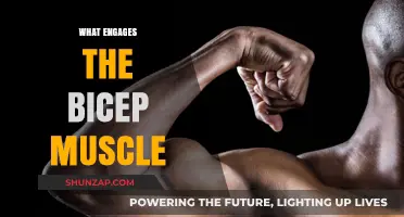 How to Effectively Target Your Biceps