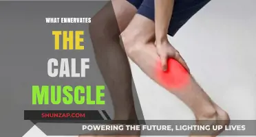 Unraveling the Mysteries: What Triggers Calf Muscle Irritation?