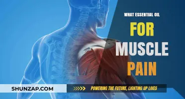 Best Essential Oils for Muscle Pain Relief: Natural Remedies Guide