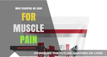 Nature's Remedy: Essential Oils to Ease Muscle Pain