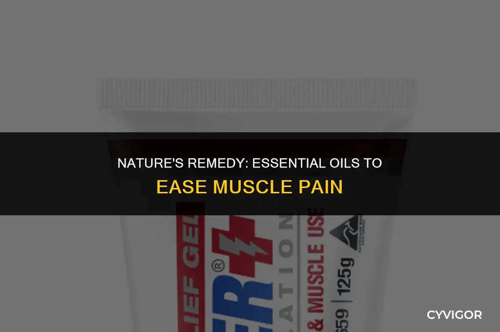 what essential oil good for muscle pain