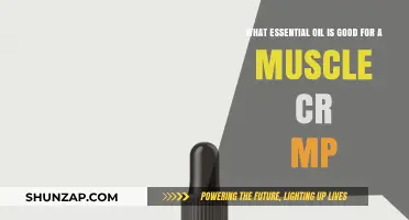 Nature's Relief: Essential Oils to Ease Muscle Cramps