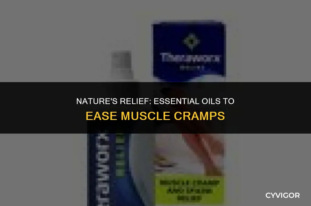 what essential oil is good for a muscle cr mp