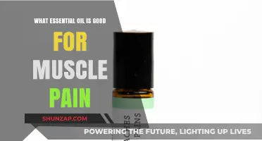 Best Essential Oils for Muscle Pain Relief: Natural Remedies to Try