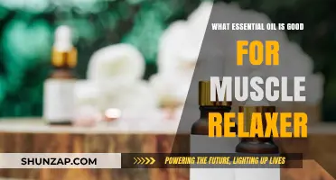 Best Essential Oils for Muscle Relaxation: Natural Remedies to Ease Tension