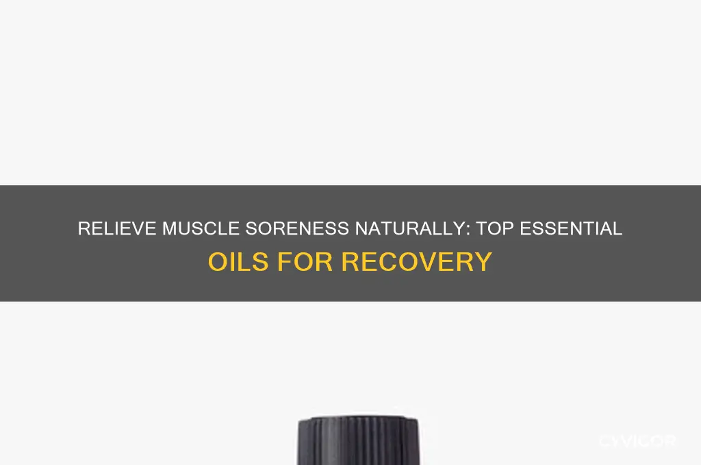 what essential oil is good for muscle soreness